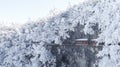 Winter, Tianmen Mountain in Zhangjiajie, Hunan,